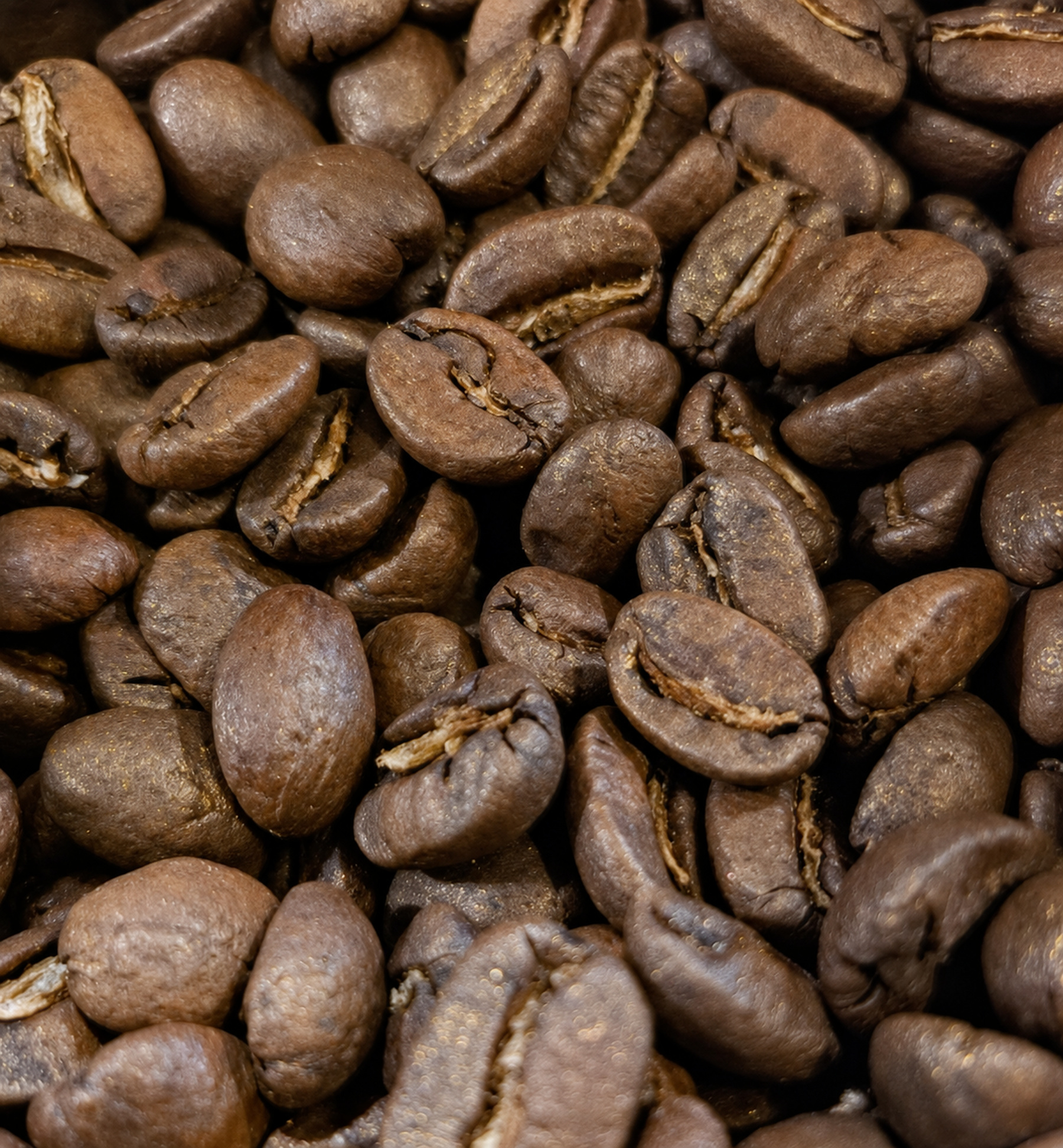 Close-up photograph of actual medium-roasted coffee beans